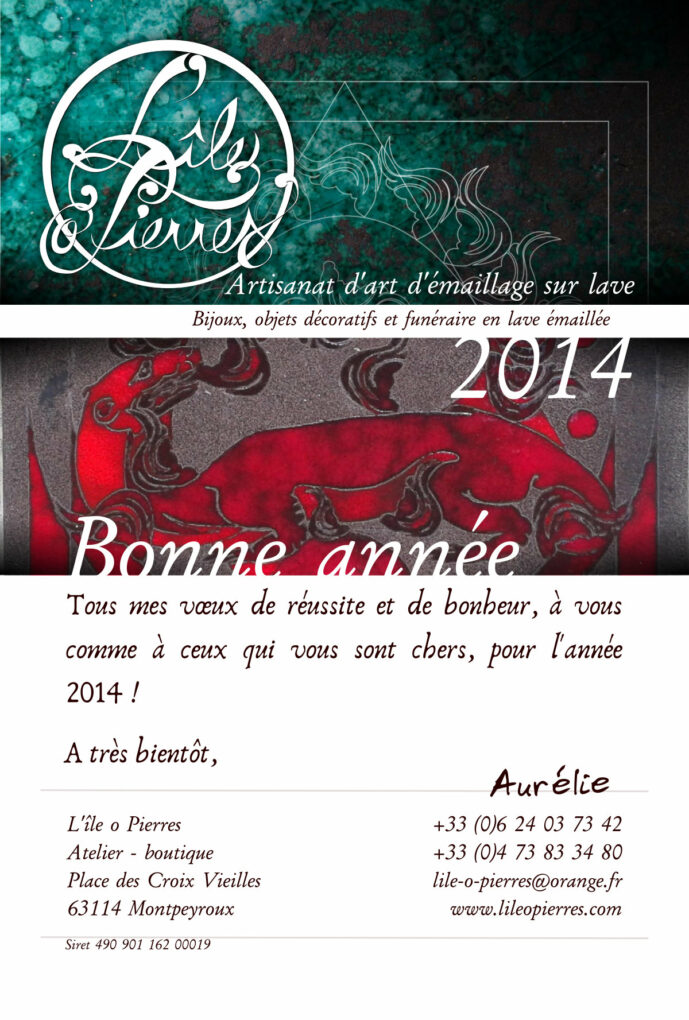 voeux-2014-lili-001