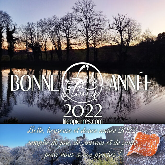 L'atelier L'île o Pierres vous présente ses meilleurs vœux pour 2022 !