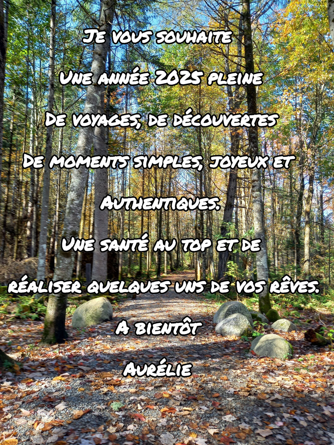 L'atelier L'île o Pierres vous souhaite une belle et heureuse année 2025 !